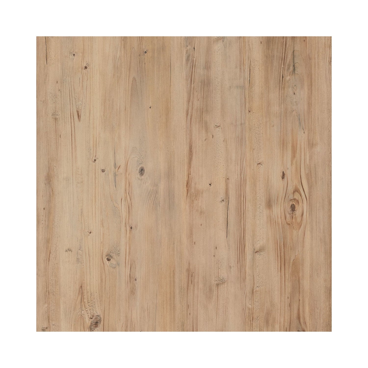 Sauder Select Engineered Wood Bookcase with Doors in Khaki Pine Finish